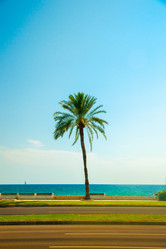 Similar image 9939804