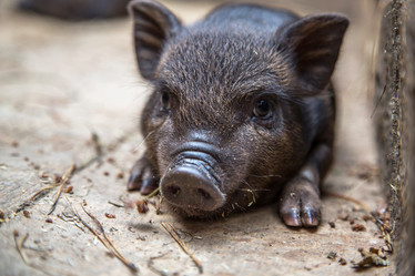 Similar image 9939923