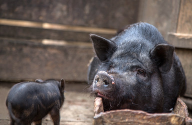 Similar image 9939950