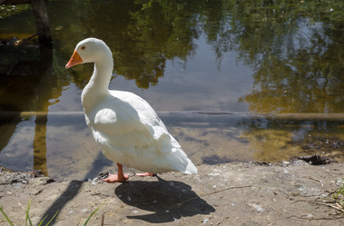 Similar image 9940039