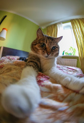 Similar image 9940046