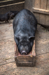 Similar image 9940049