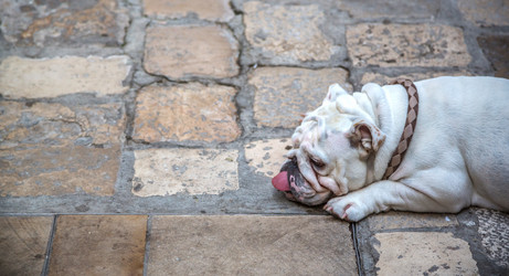 Similar image 9940059