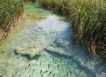 Similar image 9940348