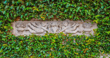 Similar image 9940362