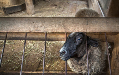 Similar image 9940363