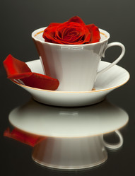 Similar image 9944647