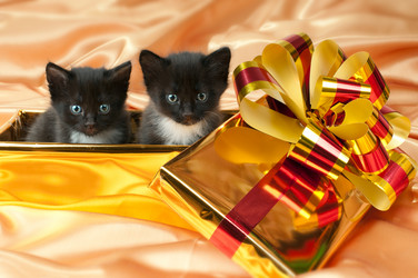 Similar image 9944748