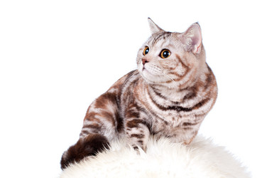 Similar image 9944755