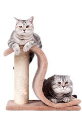 Similar image 9944757