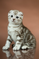 Similar image 9944939