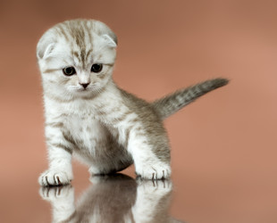 Similar image 9944945