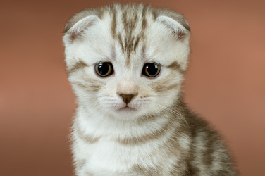 Similar image 9944950