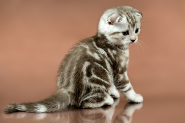 Similar image 9944953