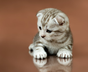 Similar image 9944957