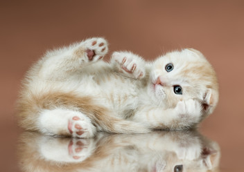 Similar image 9944964