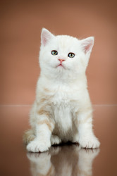 Similar image 9944969