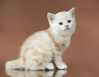 Similar image 9945114