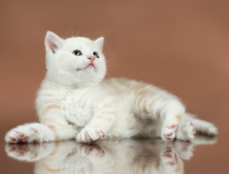 Similar image 9945121