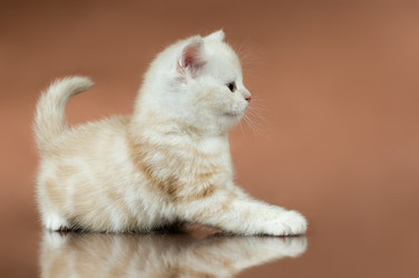 Similar image 9945123