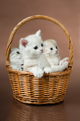 Similar image 9945125