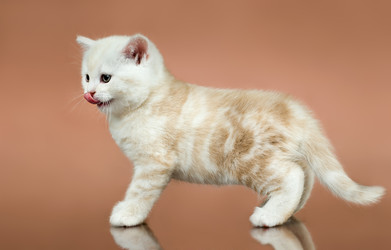 Similar image 9945128