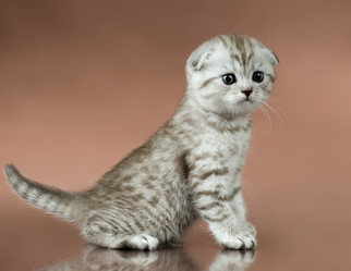 Similar image 9945133