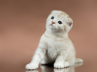 Similar image 9945136