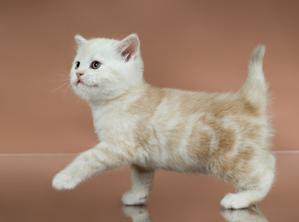 Similar image 9945138