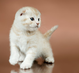 Similar image 9945142