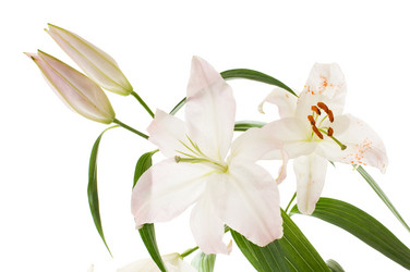 Similar image 9945144