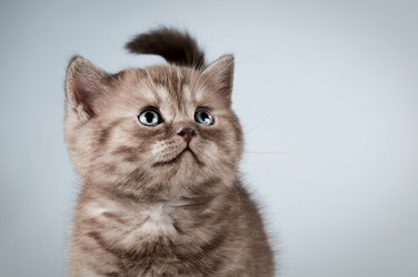 Similar image 9945148