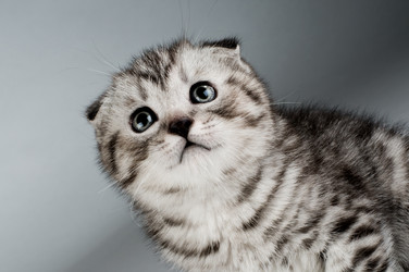 Similar image 9945190