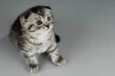 Similar image 9945195