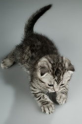 Similar image 9945196