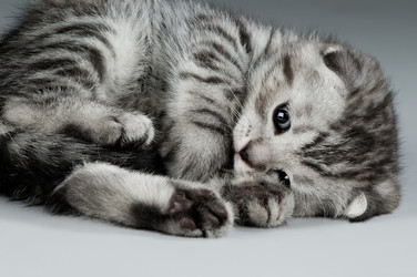 Similar image 9945200