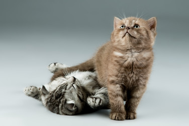 Similar image 9945202