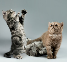 Similar image 9945204