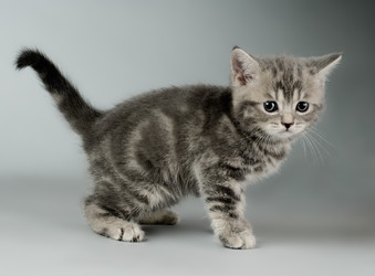 Similar image 9945207