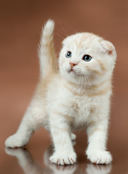 Similar image 9945214