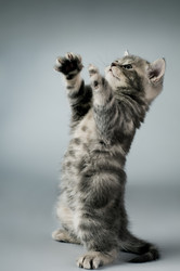 Similar image 9945245