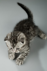 Similar image 9945334