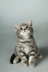 Similar image 9945341