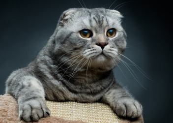 Similar image 9945363