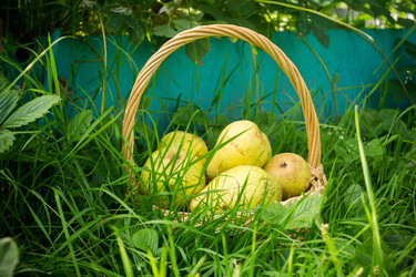 Similar image 9946639