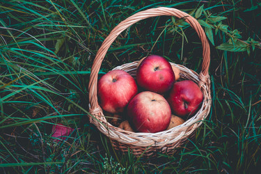 Similar image 9946643