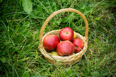 Similar image 9946646