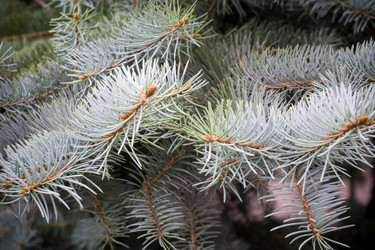 Similar image 9946648