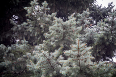 Similar image 9946656