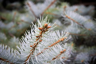 Similar image 9946659